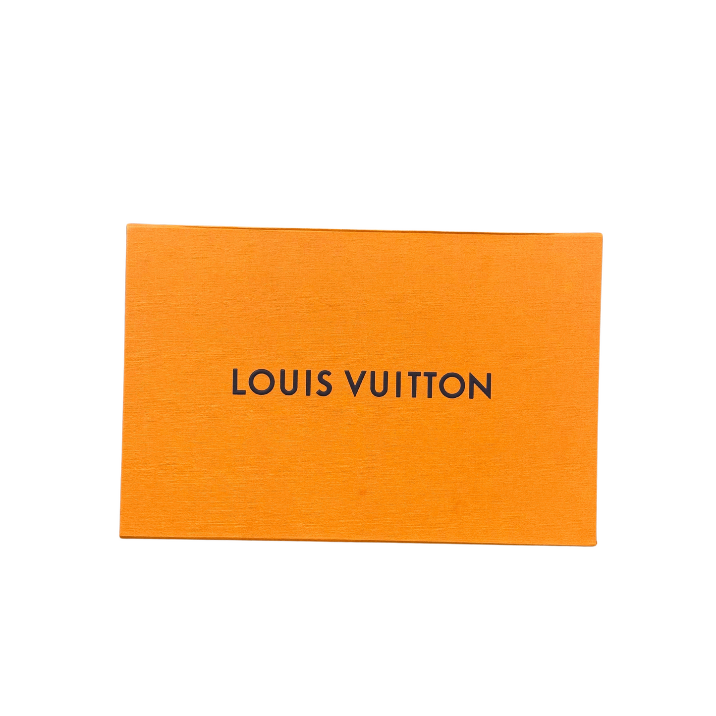 POCHETTE LOUIS VUITTON