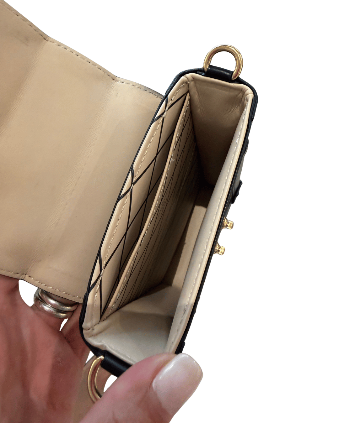LOUIS VUITTON VERTICAL TRUNK