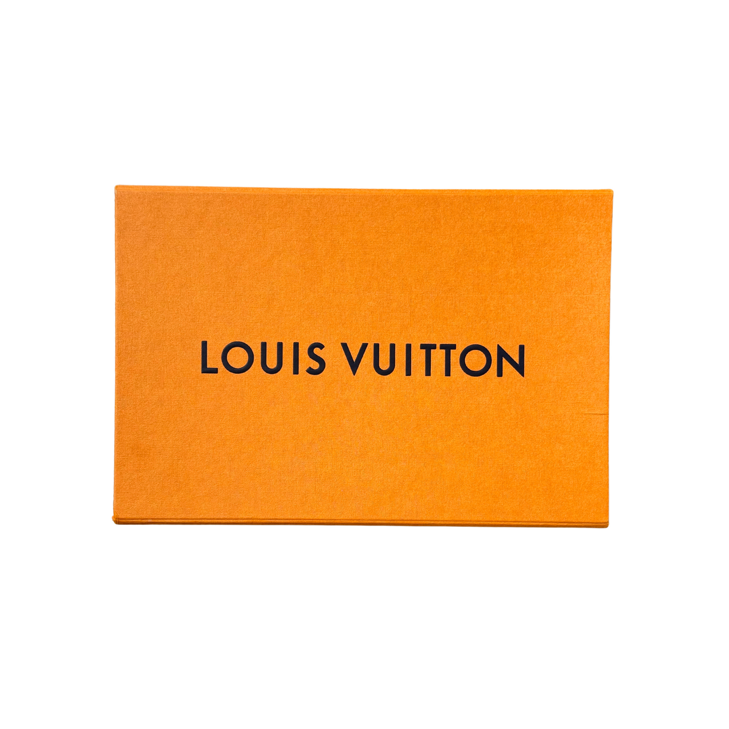 POCHETTE LOUIS VUITTON PIATTA