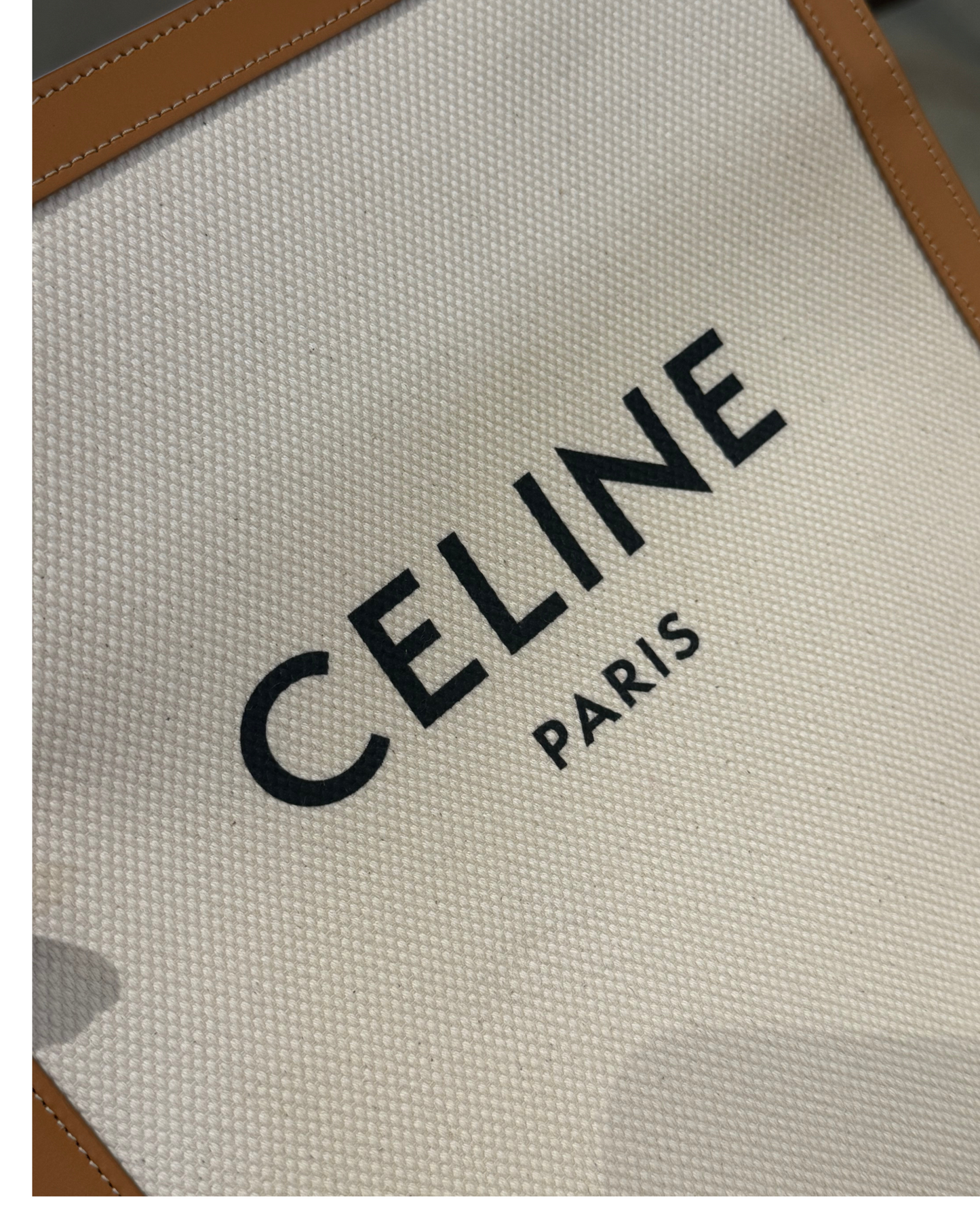 CELINE CABAS IN PELLE E TELA