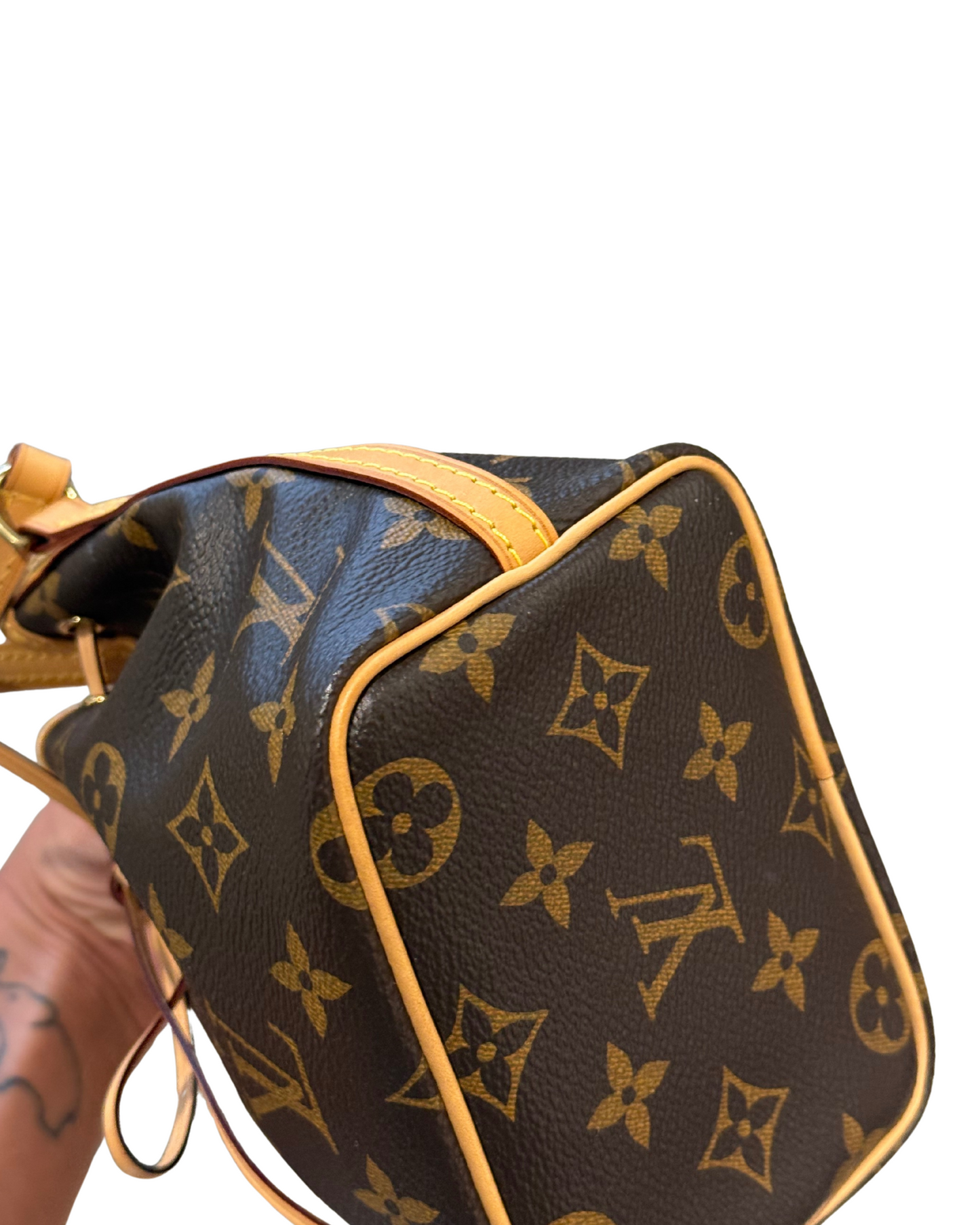 NANO NOE LOUIS VUITTON