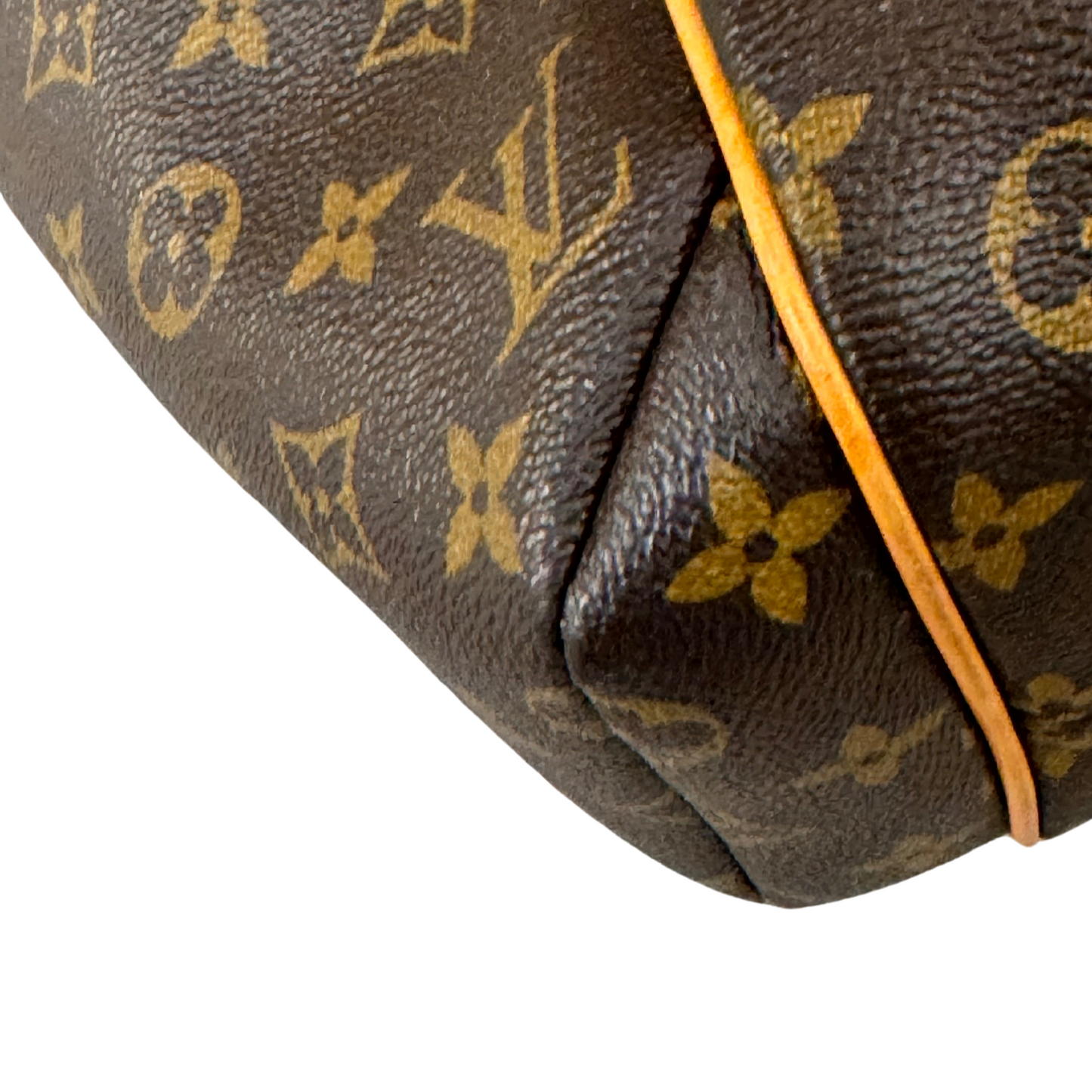 TOTALLY LOUIS VUITTON MONOGRAM