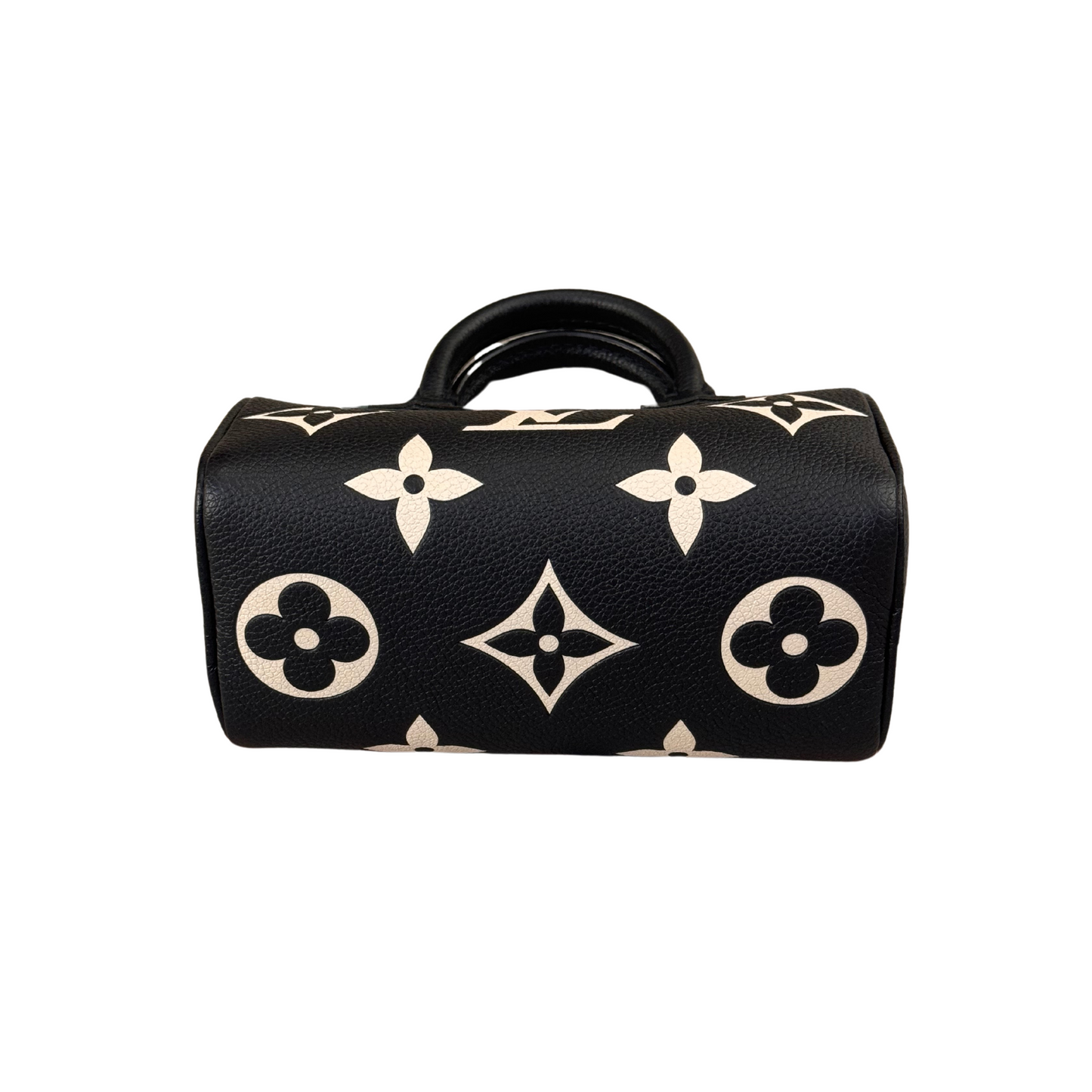 NANO SPEEDY PELLE LOUIS VUITTON