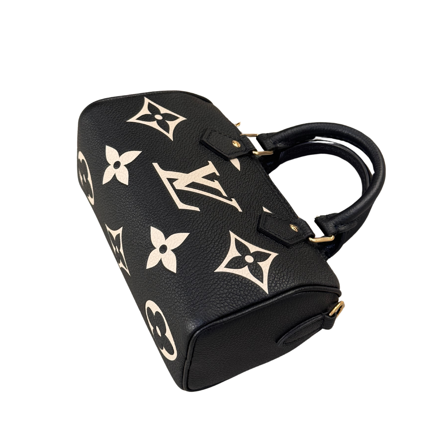NANO SPEEDY PELLE LOUIS VUITTON