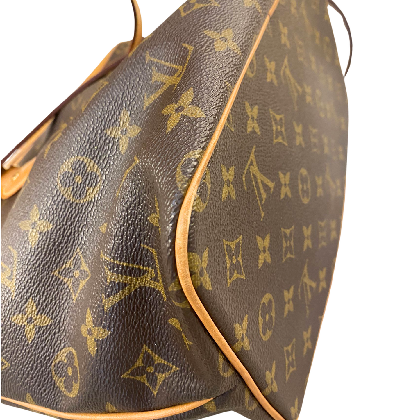 PALERMO PM LOUIS VUITTON