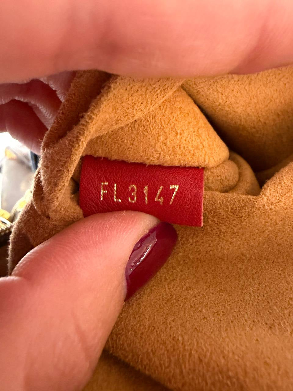 TUILIERES LOUIS VUITTON MONOGRAM MANICI ROSSI