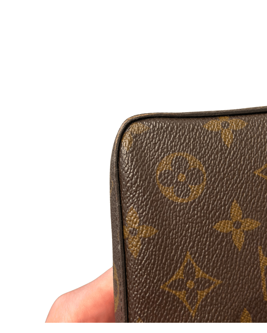 POCHETTE FELICIE LOUIS VUITTON MONOGRAM