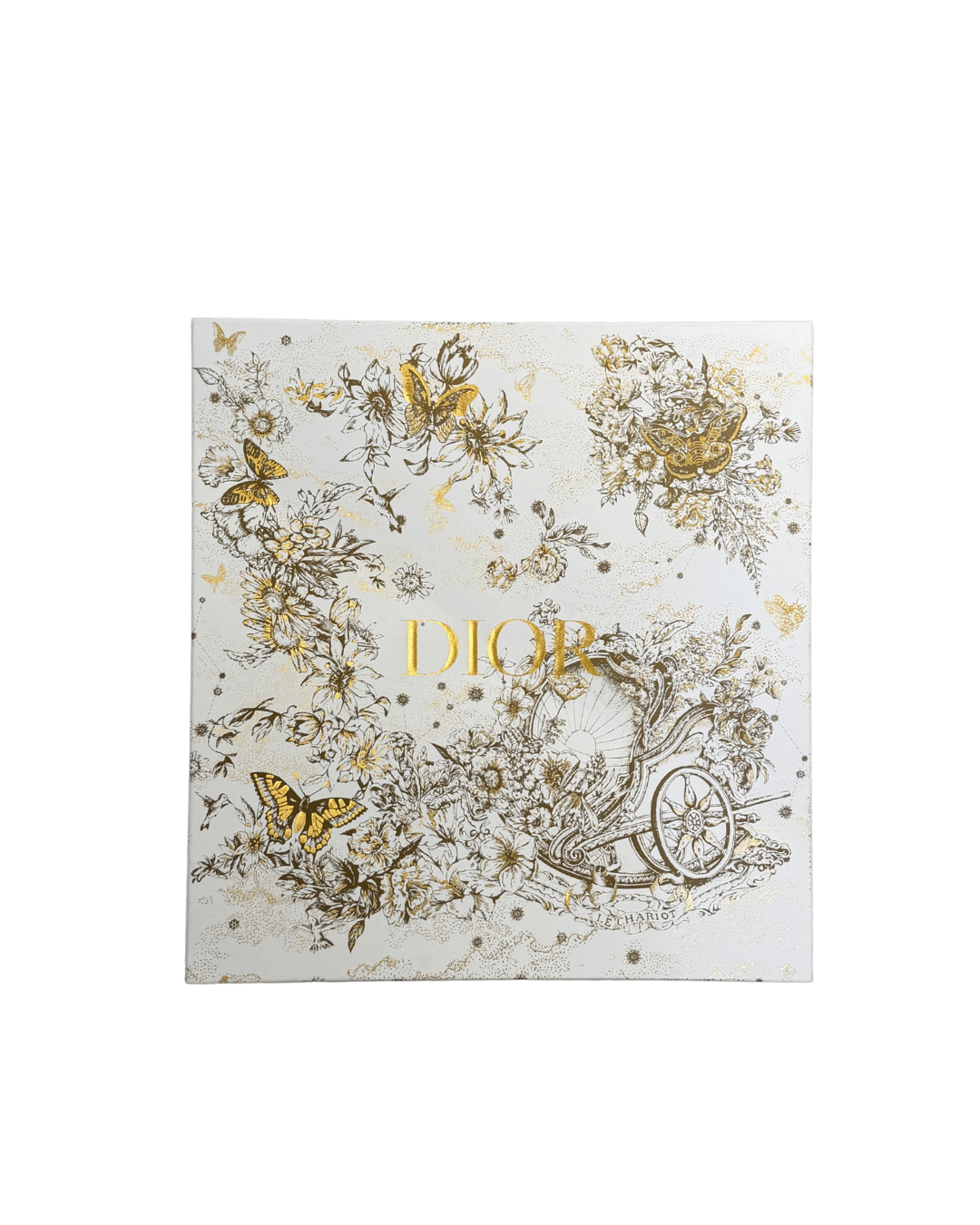 BOOK TOTE DIOR GRANDE BLU