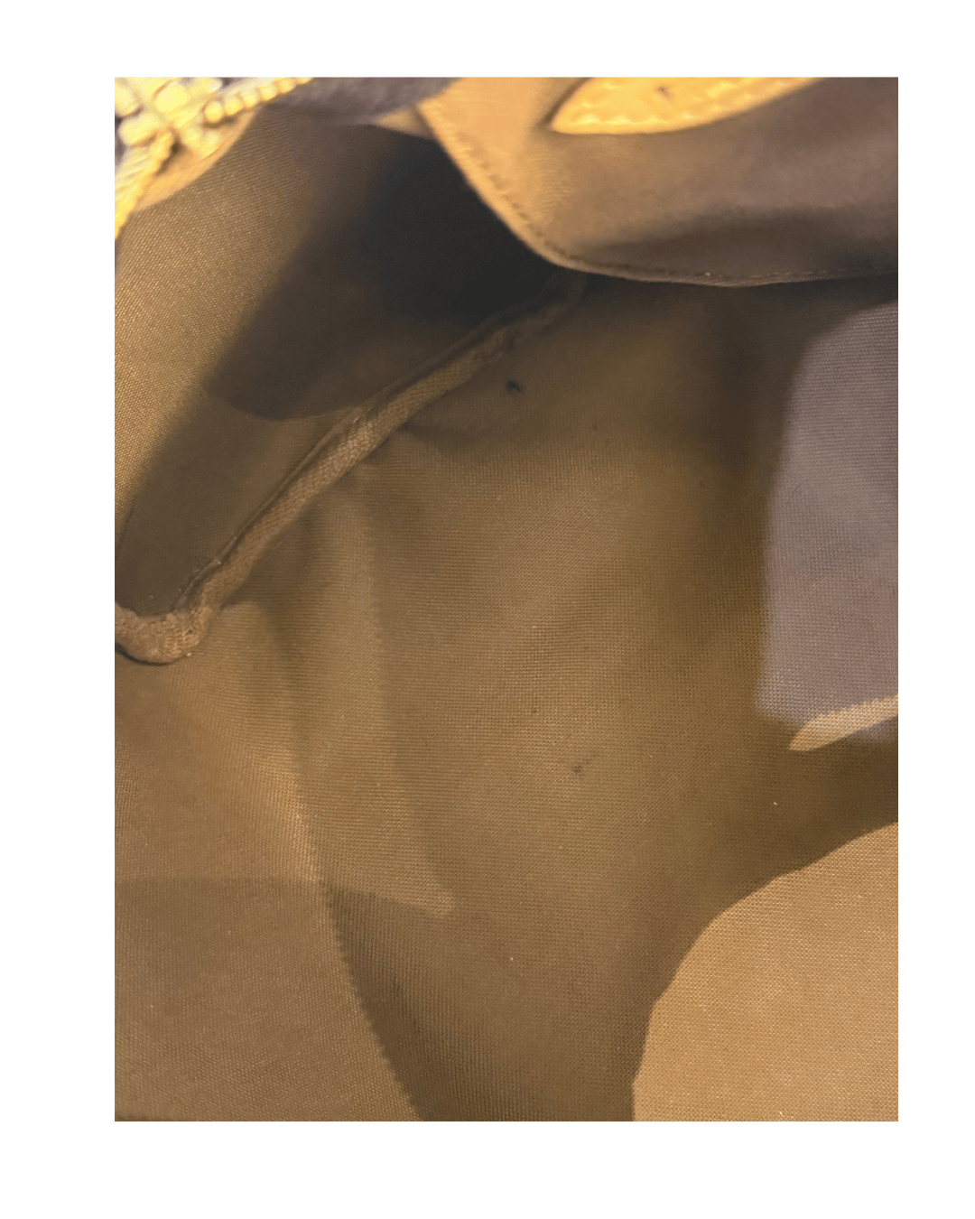 SPEEDY 25 CLASSICO MONOGRAM LOUIS VUITTON
