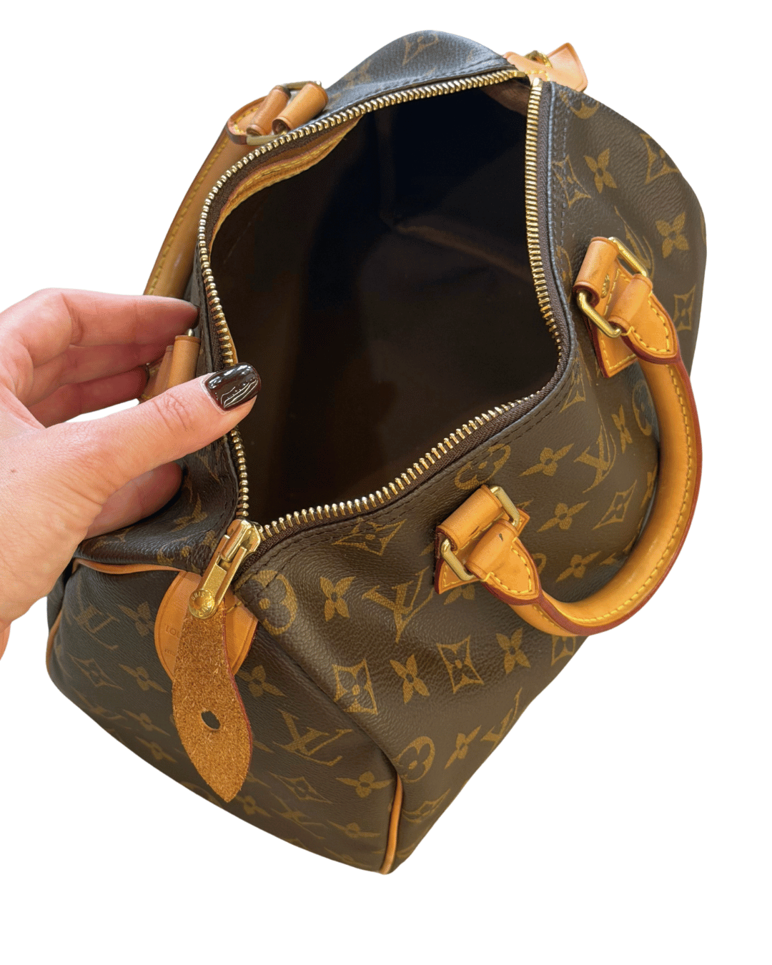 SPEEDY 25 MONOGRAM CLASSICO LOUIS VUITTON