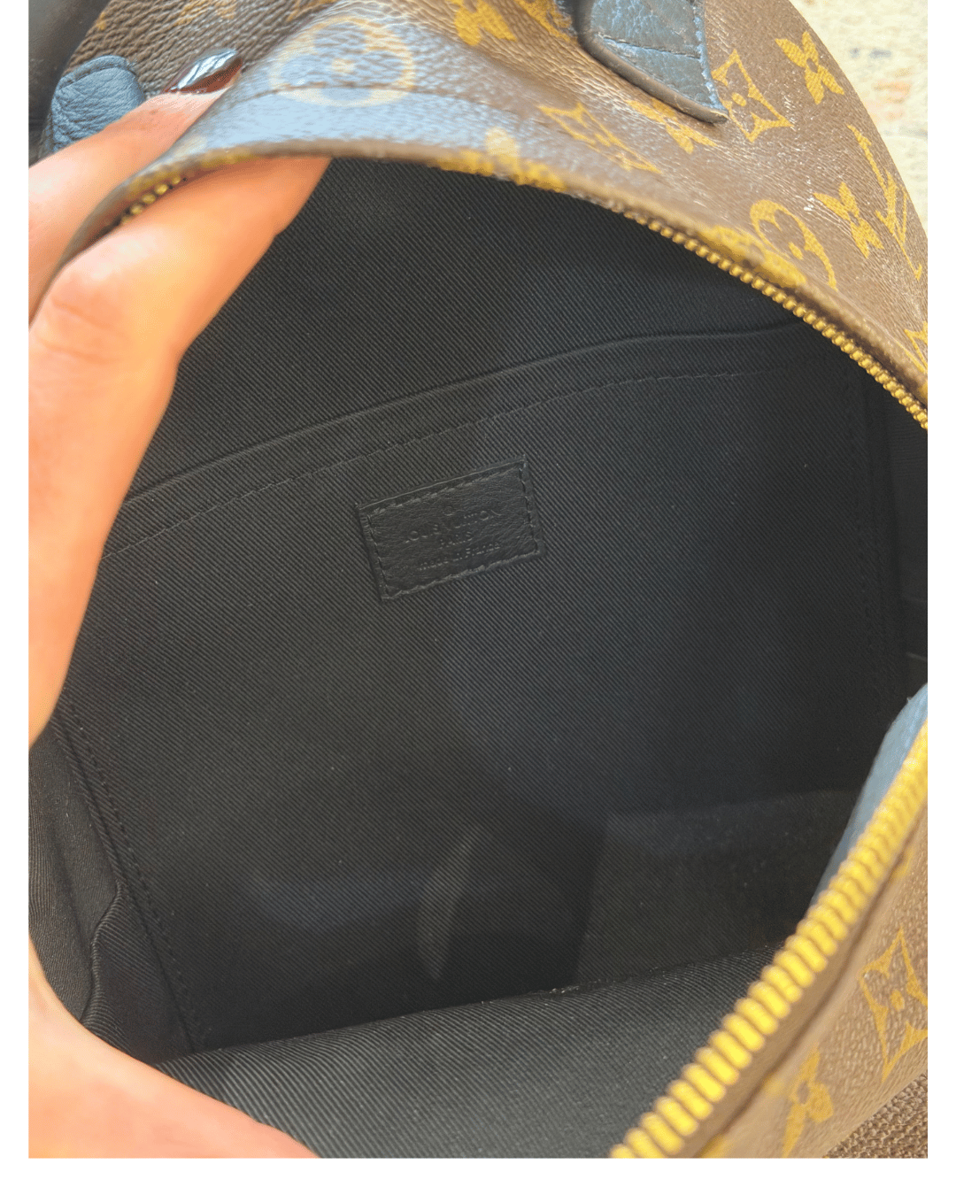 ZAINO PALM SPRING MM LOUIS VUITTON