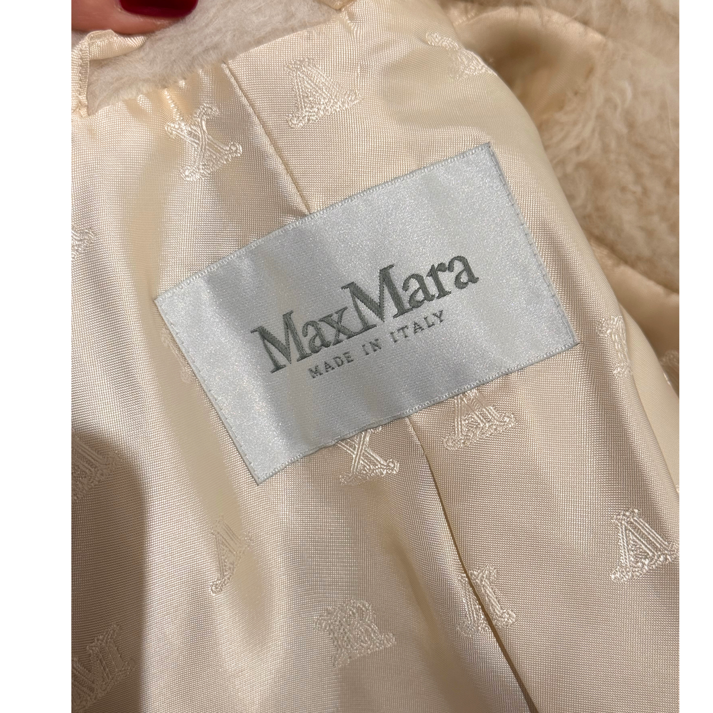 TEDDY MAXMARA PANNA