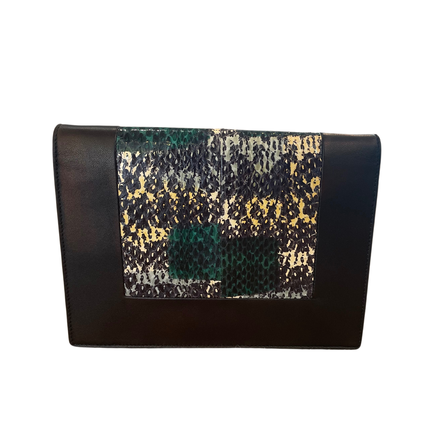 POCHETTE CELINE PELLE E RETTILE