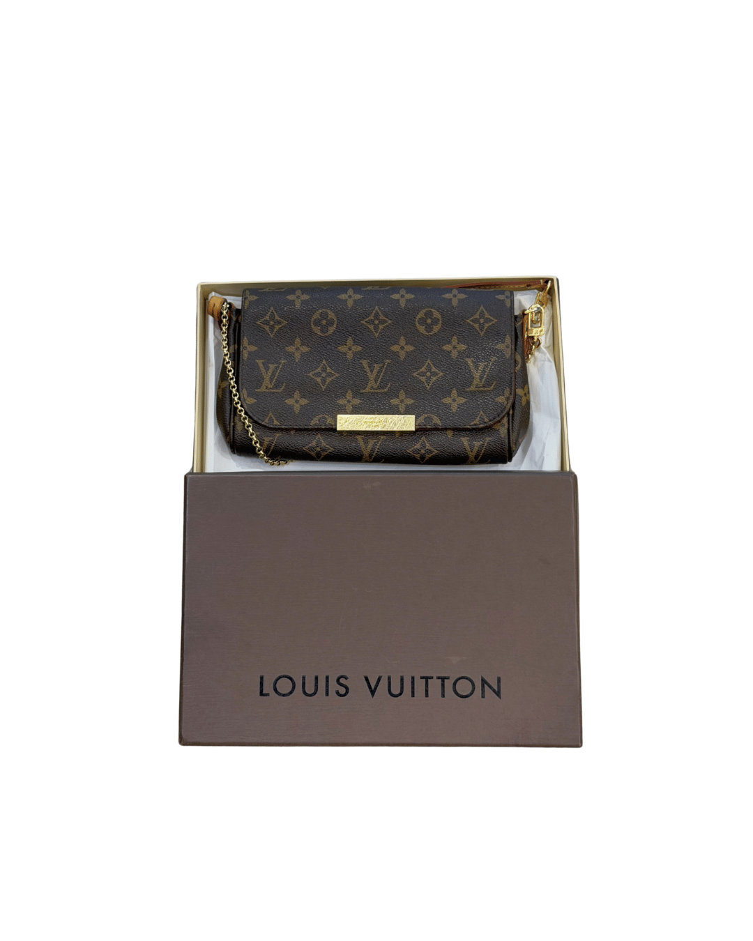 POCHETTE FAVORITE LOUIS VUITTON MONOGRAM