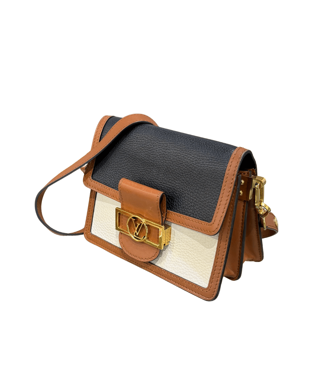 DAUPHINE LOUIS VUITTON PELLE TRICOLORE