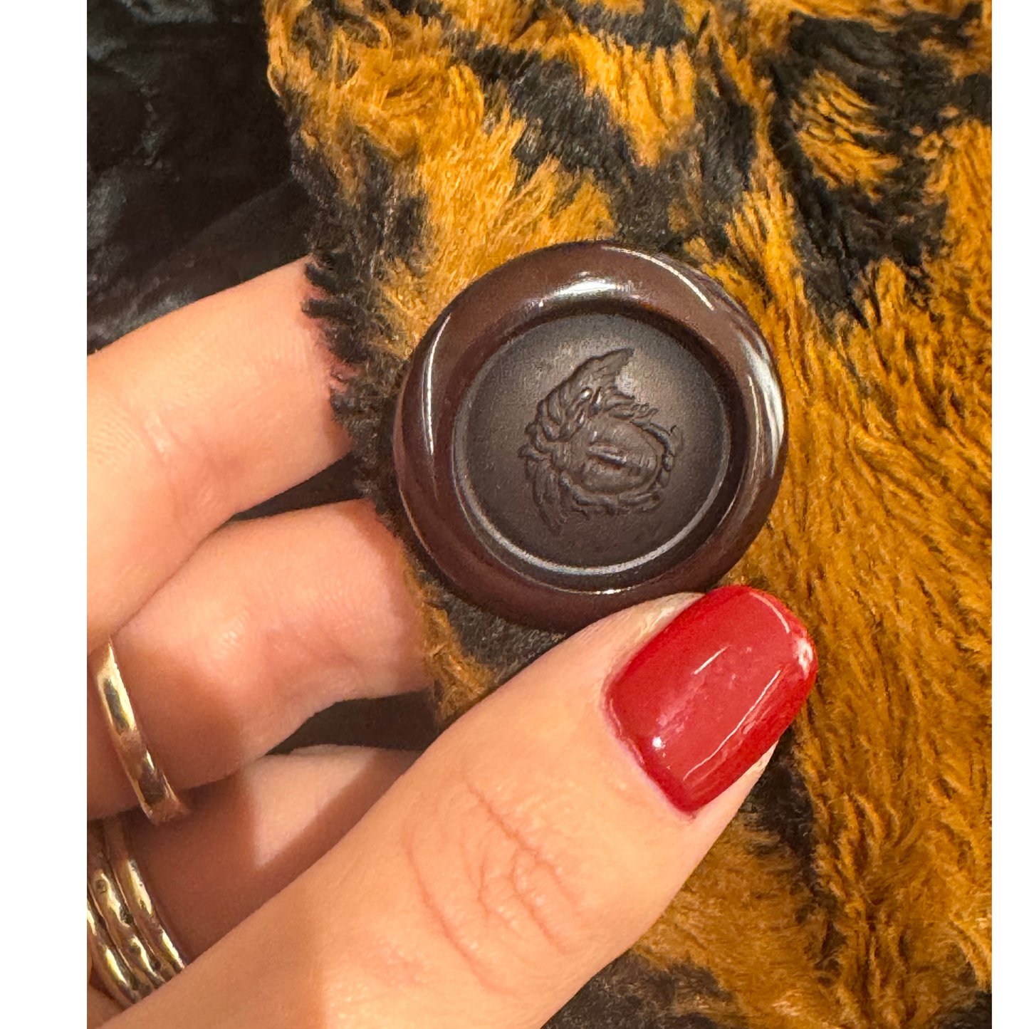GIACCHINO ANIMALIER VERSACE