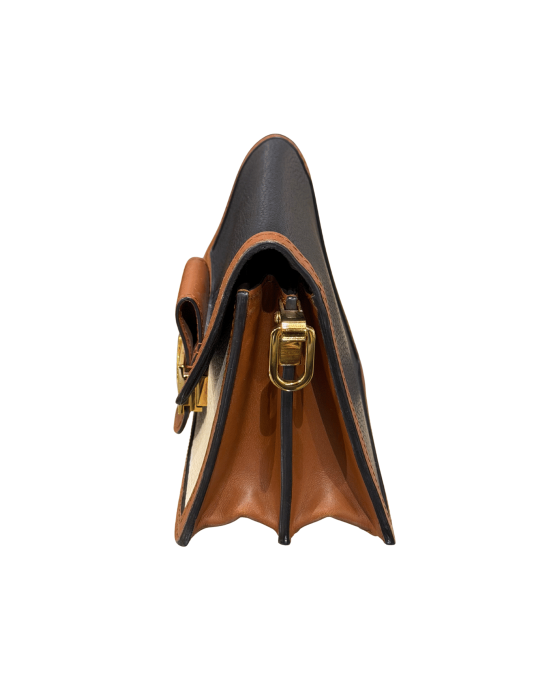 DAUPHINE LOUIS VUITTON PELLE TRICOLORE