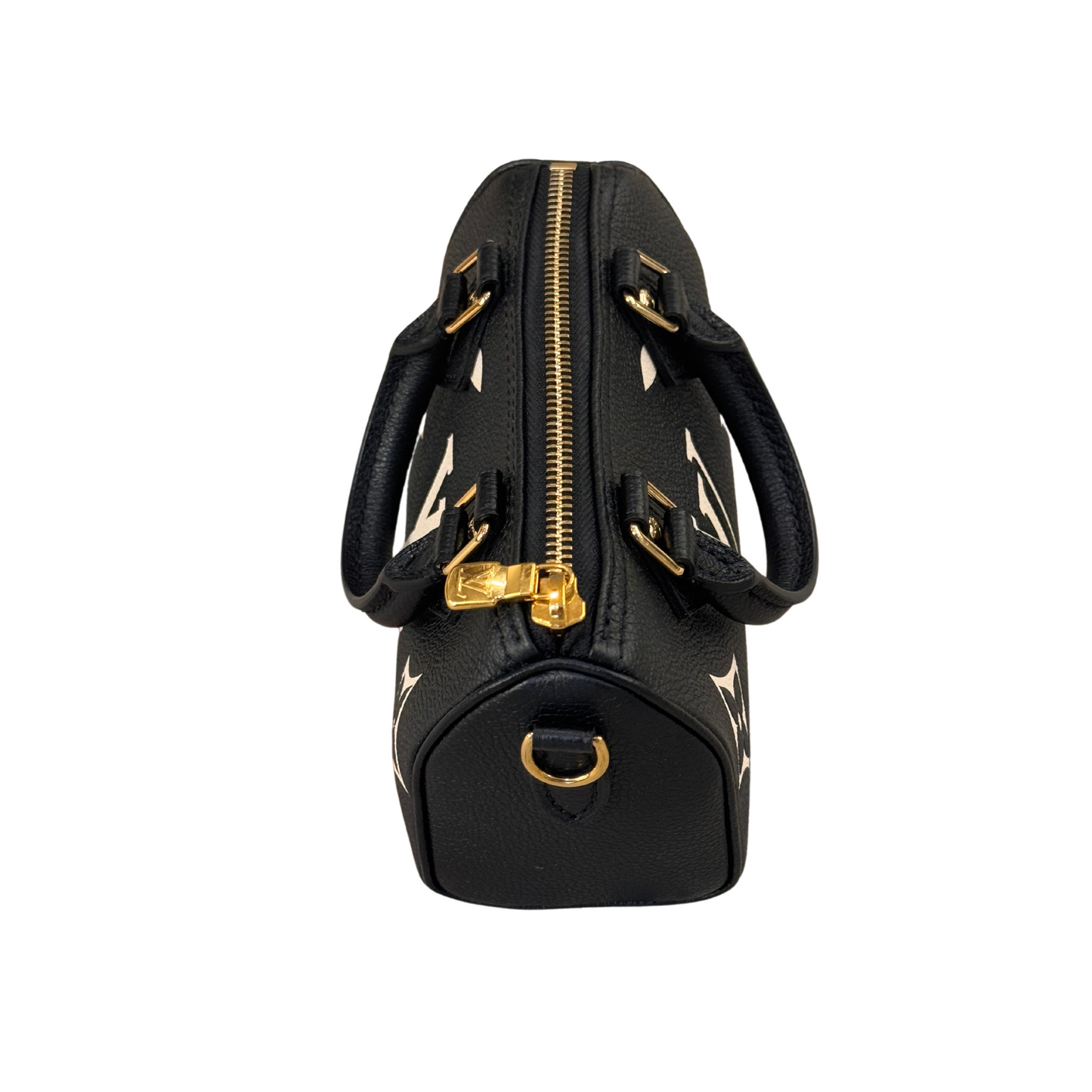 NANO SPEEDY PELLE LOUIS VUITTON