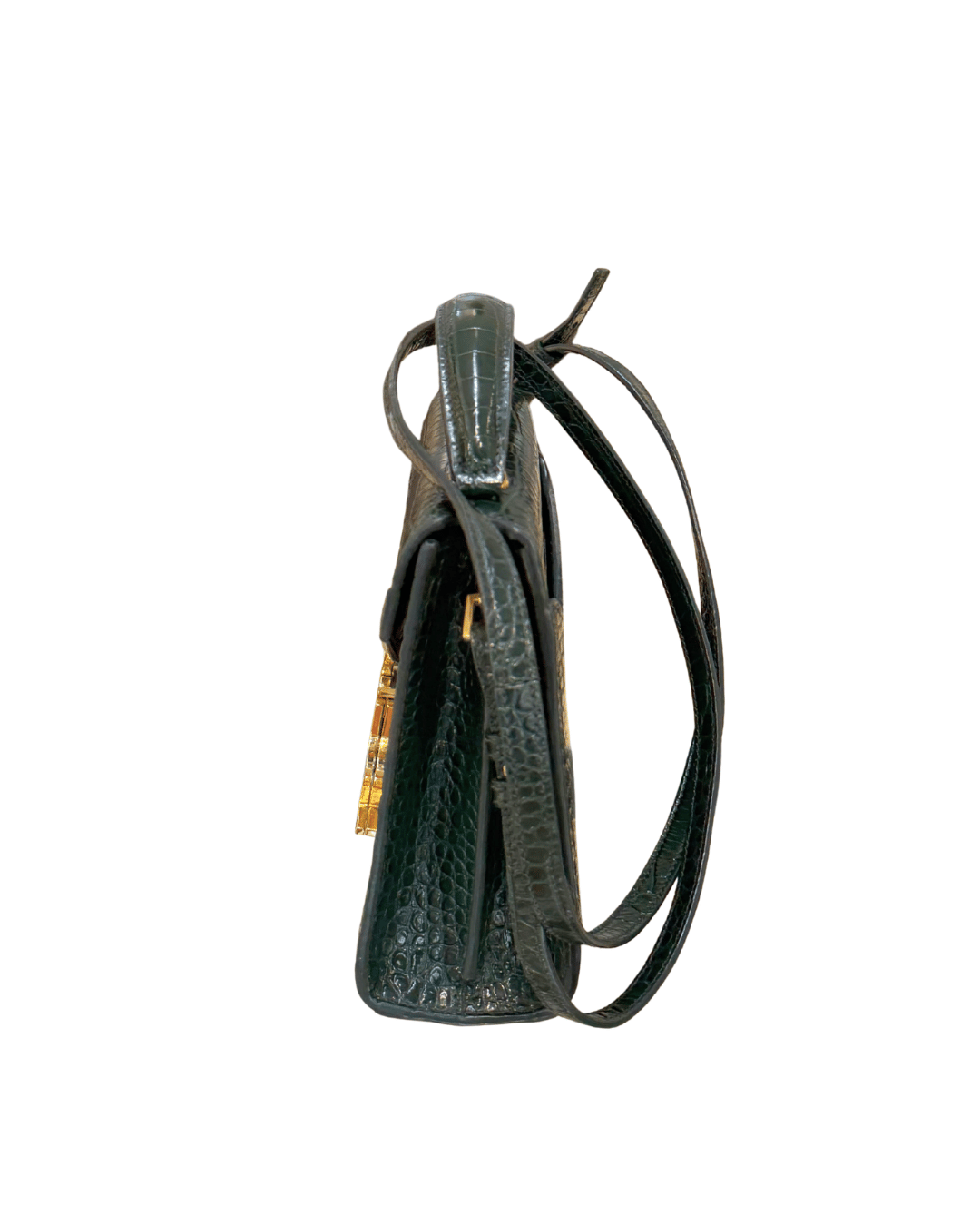 CASSANDRA YSL STAMPA COCCO VERDE