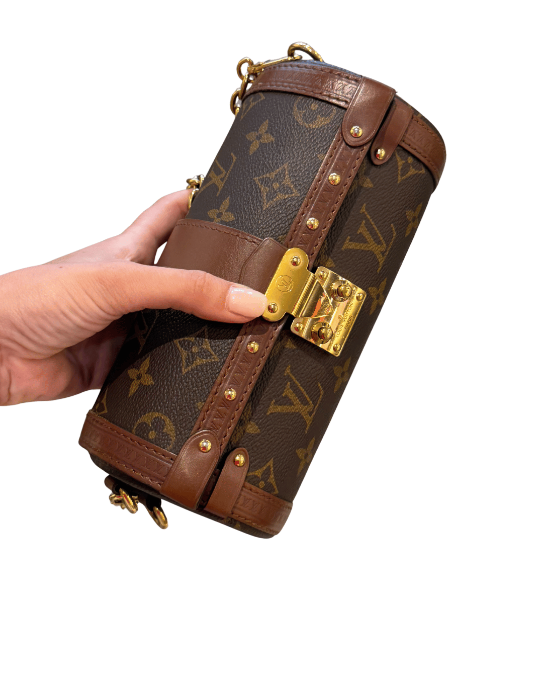 PAPILLON TRUNK LOUIS VUITTON MONOGRAM