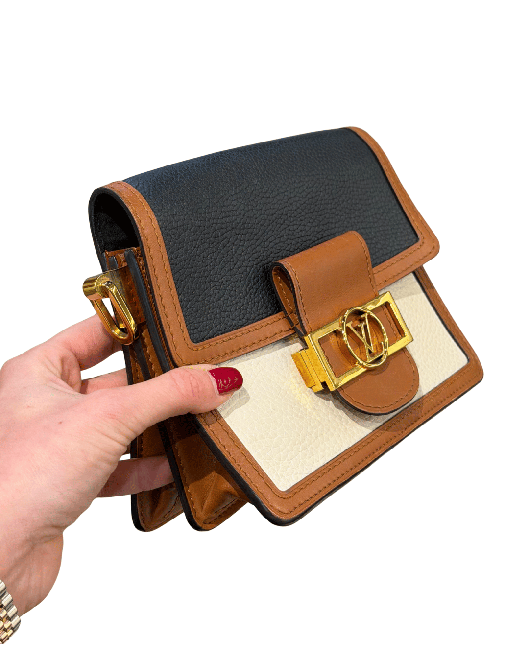 DAUPHINE LOUIS VUITTON PELLE TRICOLORE