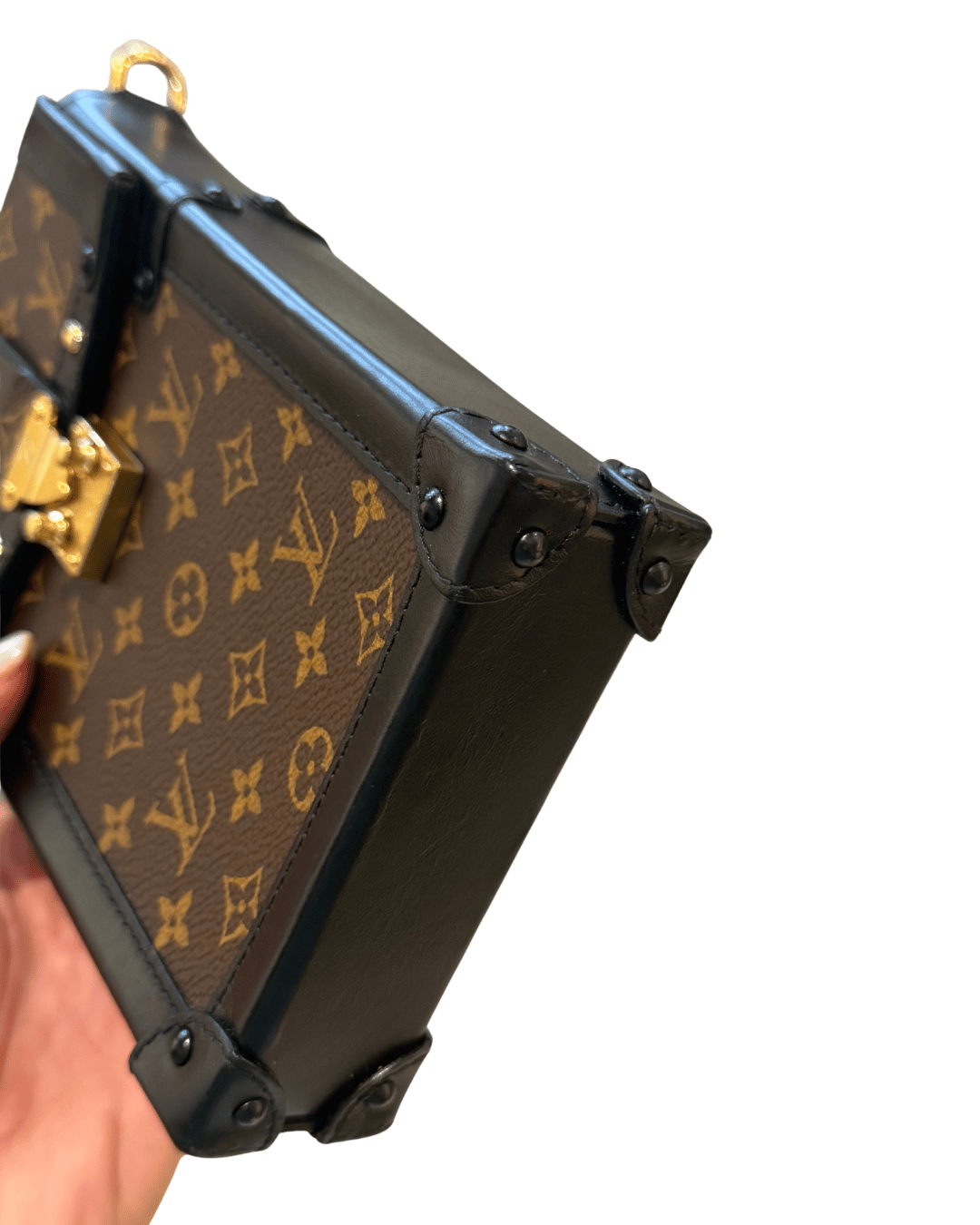 LOUIS VUITTON VERTICAL TRUNK