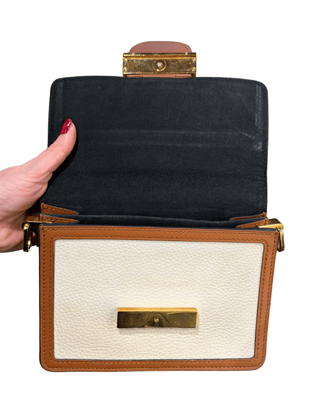 DAUPHINE LOUIS VUITTON PELLE TRICOLORE