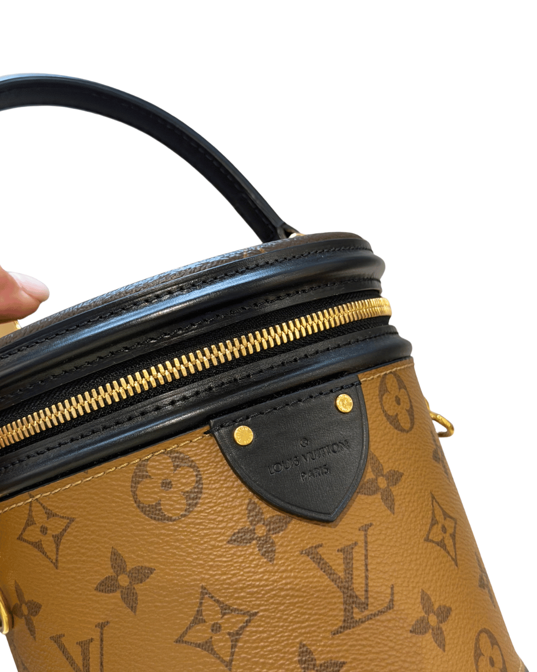LOUIS VUITTON CANNES MONOGRAM REVERSE