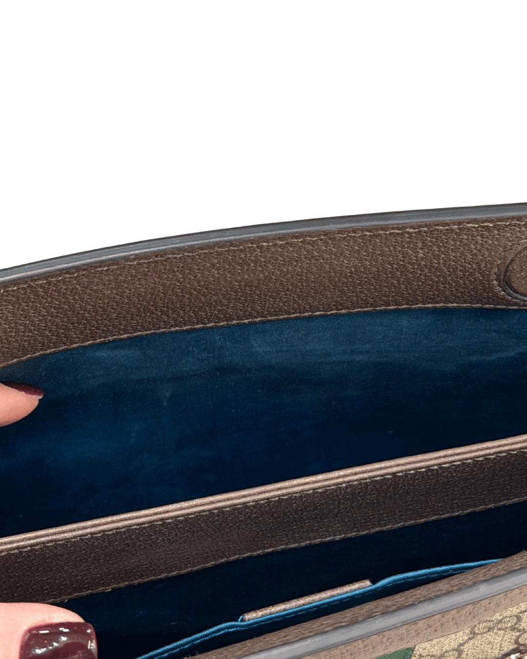 GUCCI OPHIDIA CON CATENA E FASCIA WEB