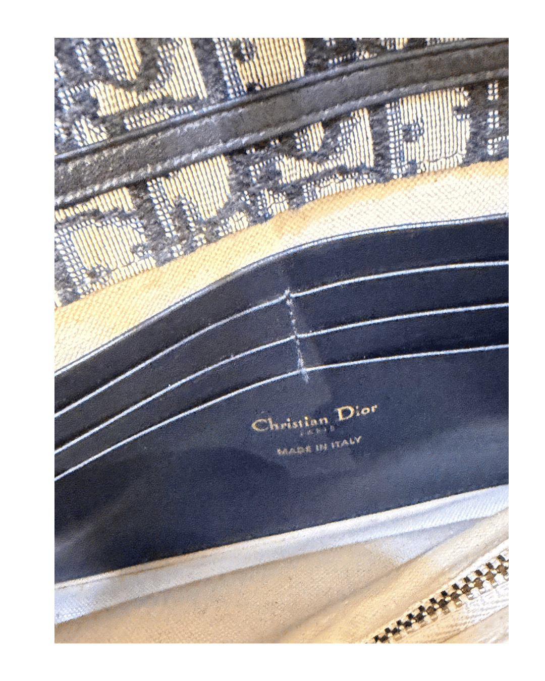 WOC SADDLE DIOR OBLIQUE