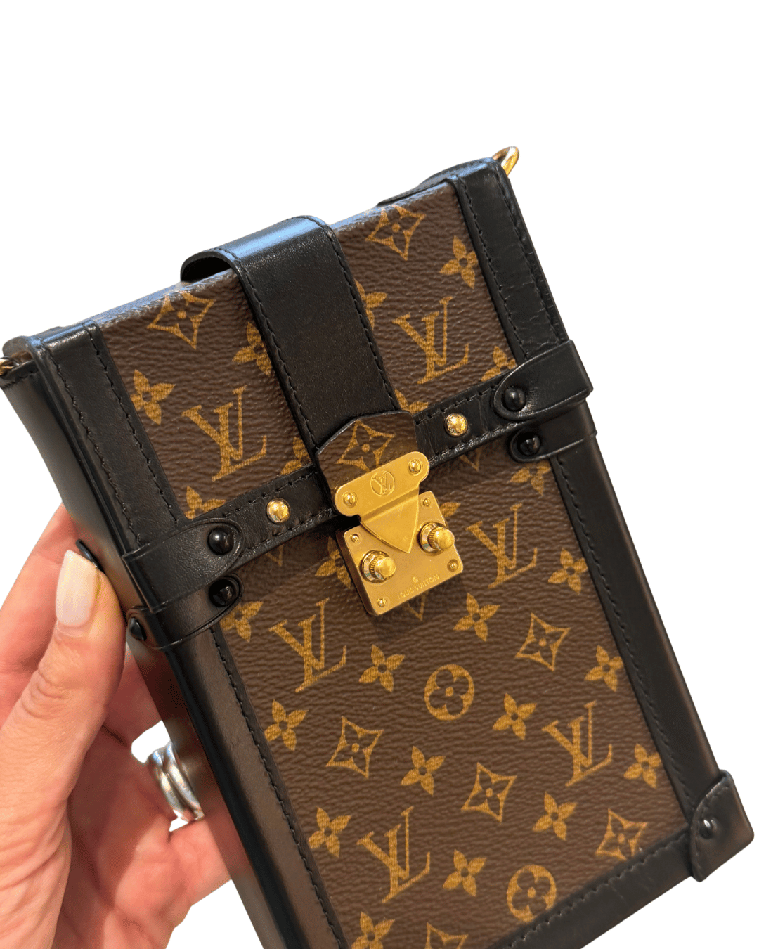 LOUIS VUITTON VERTICAL TRUNK