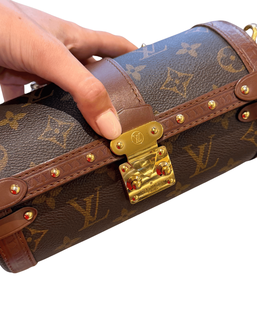 PAPILLON TRUNK LOUIS VUITTON MONOGRAM