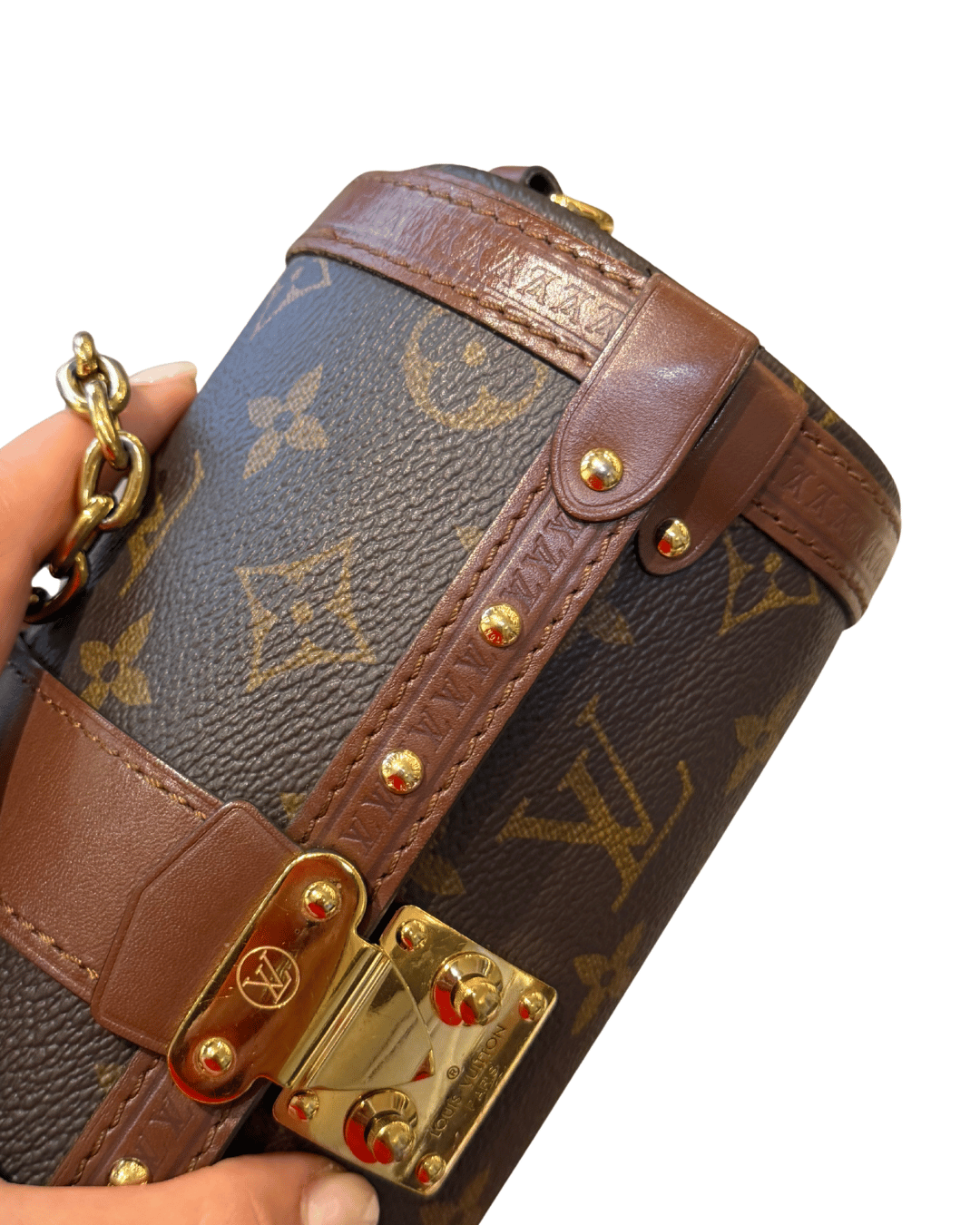 PAPILLON TRUNK LOUIS VUITTON MONOGRAM