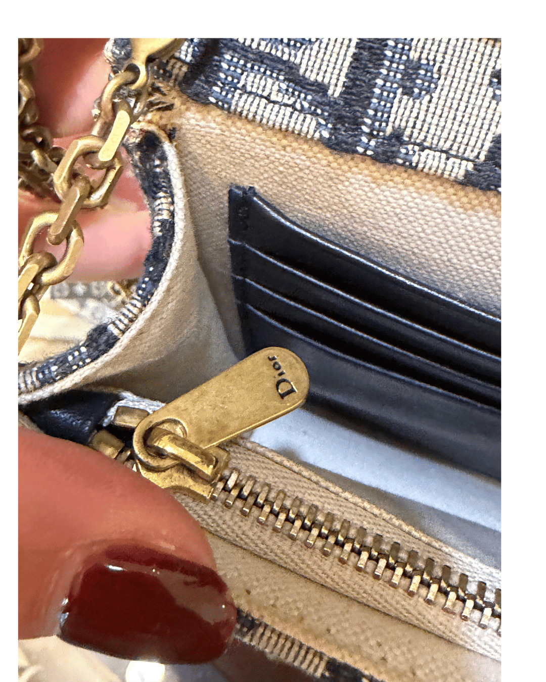 WOC SADDLE DIOR OBLIQUE